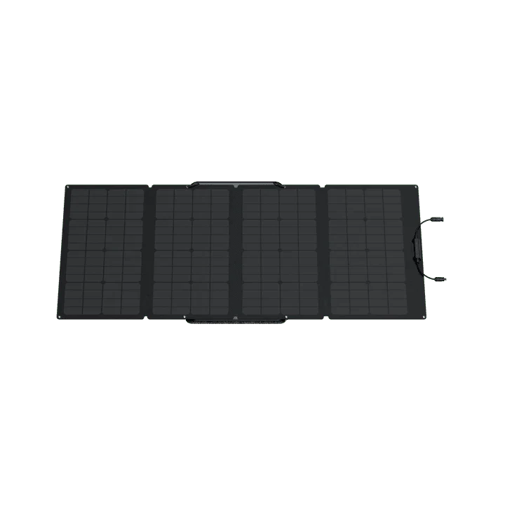 EcoFlow DELTA 2 Max + 160W Portable Solar Panel